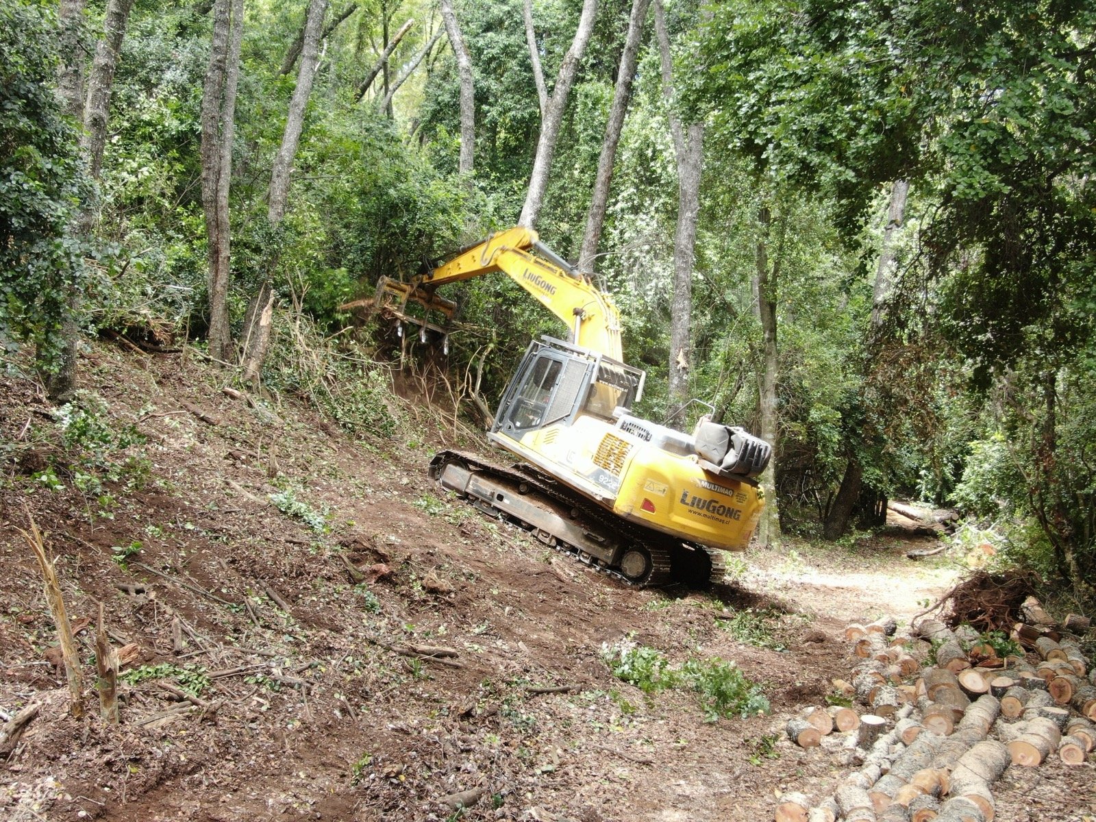Manejo forestal y apertura de accesos
