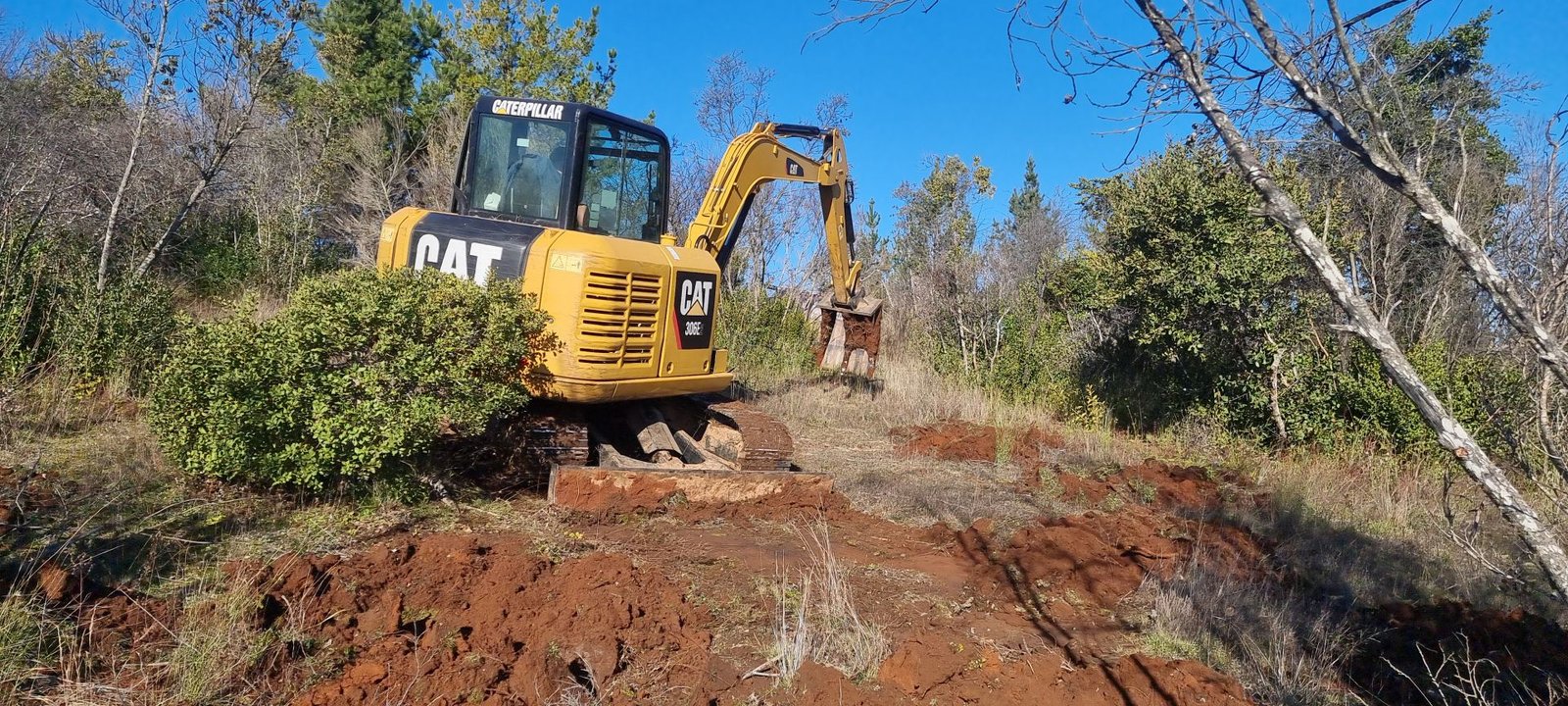 Manejo forestal y apertura de accesos